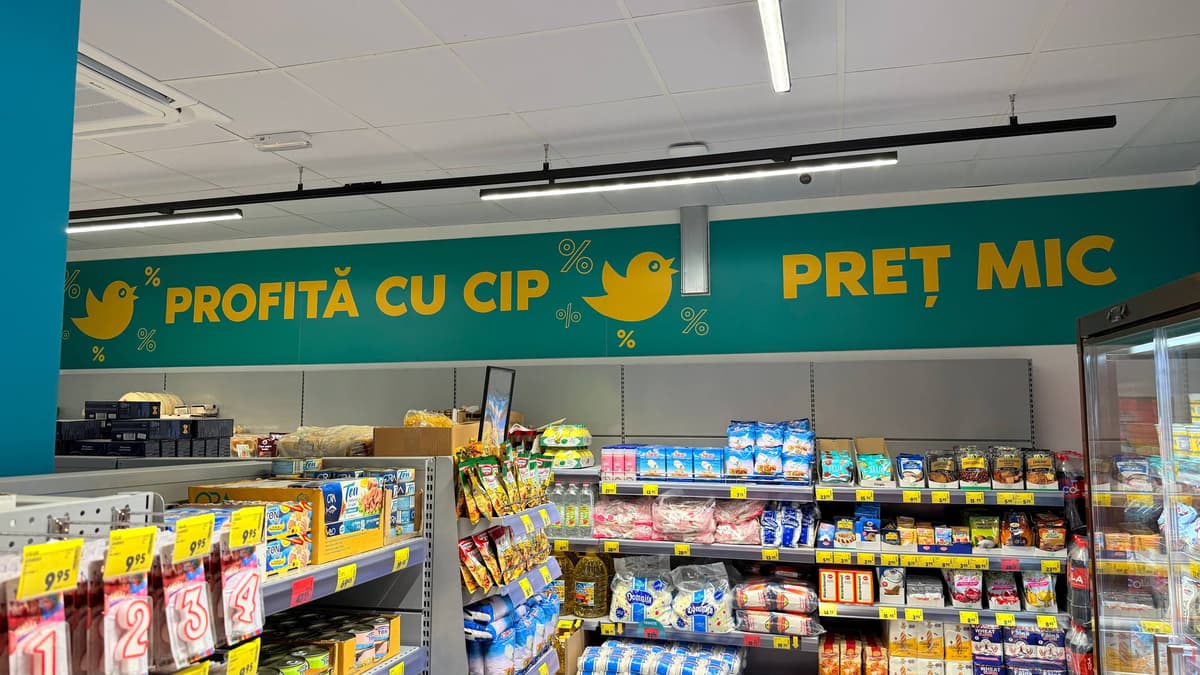 cip news
